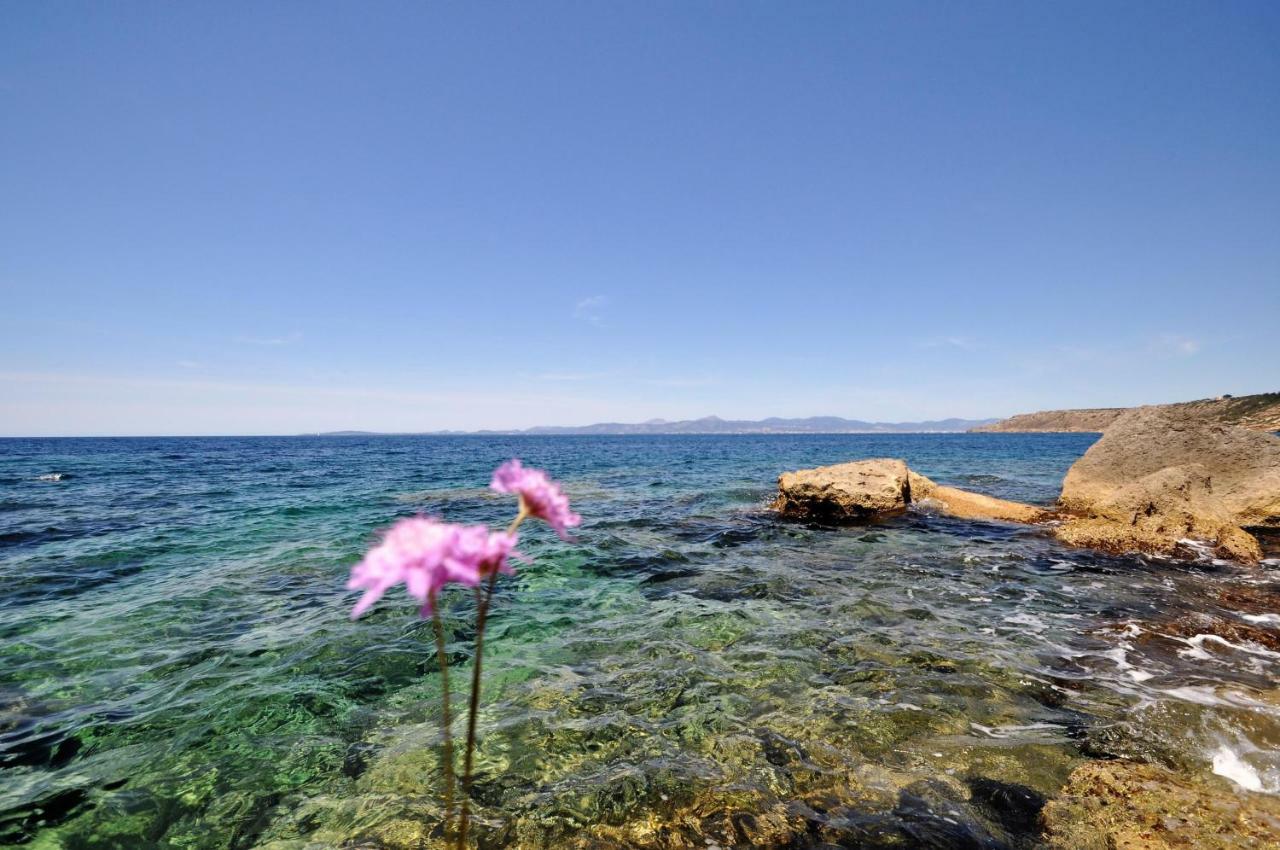 Holiday home Hugo- Badia Gran- Llucmajor- Mallorca *